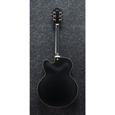 Ibanez AFC Contemporary Archtop 6-String Electric Guitar with Case