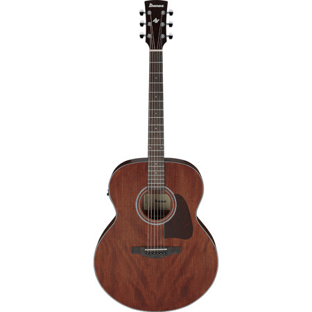 Ibanez Artwood Series AJ54E Acoustic Electric Guitar, Open Pore Natural