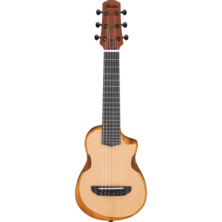 Ibanez AU Series AUP10N 6-String Acoustic Tenor Ukulele, Open Pore Natural