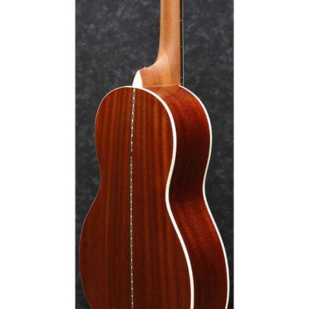 Ibanez ArtWood Vintage Series AVN3 Acoustic Guitar, Natural High Gloss