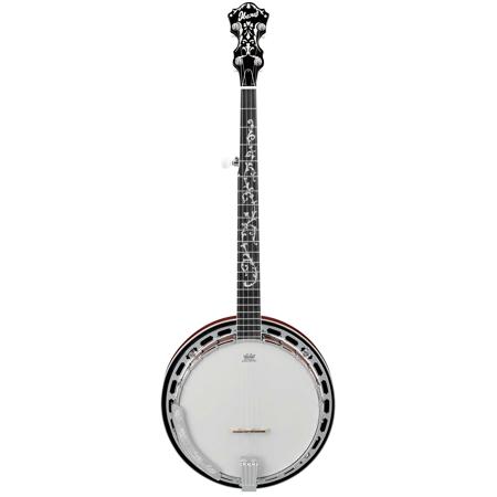 Ibanez B200 5-String Banjo, 22 Frets, Mahogany Neck, Rosewood Fretboard, ABS-Multi Resonator Binding