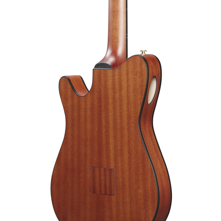 Ibanez FRH Series FRH10N Acoustic Electric Guitar, Rose Gold