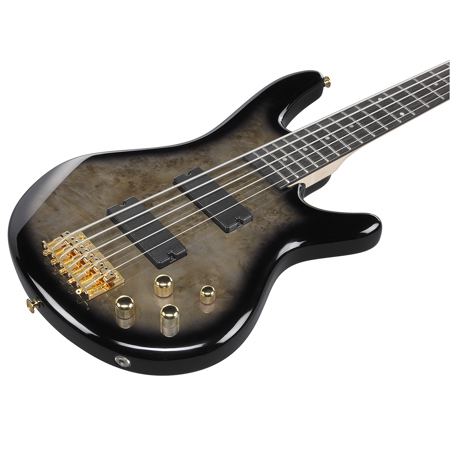Ibanez SR Gio Series GSR205PC 5-String Electric Bass Guitar, Pale