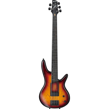 Ibanez GWB205 5-String Electric Bass Guitar, Tequila Sunrise Flat