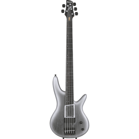 Ibanez Gary Willis Signature 5String Fretless Bass Guitar,Silver Wave Burst Flat