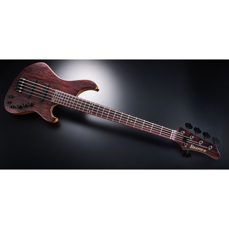 Ibanez Visions Japan Custom Shop Series IV2MDM 5-String Electric