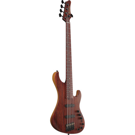 Ibanez Visions Japan Custom Shop Series IV2MDM 5-String Electric