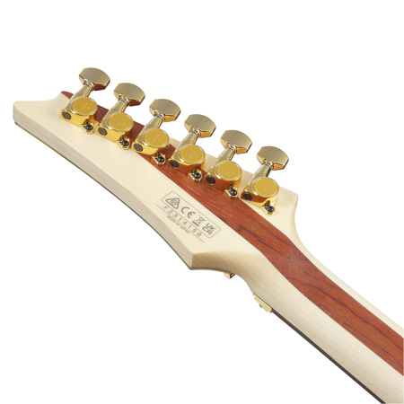 Ibanez Joe Satriani Signature JS1GD Electric Guitar, Gold JS1GD