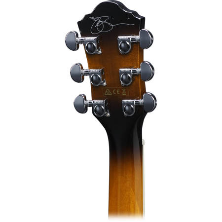 Ibanez joe satriani acoustic hotsell