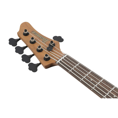 Ibanez MDM Mode Series MDM1005 5-String Electric Bass Guitar