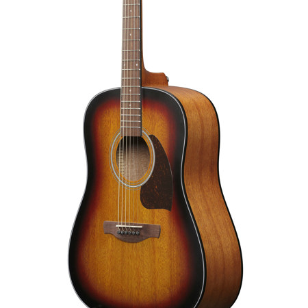 Ibanez PF Series PF54 Acoustic Electric Guitar, Open Pore Vintage