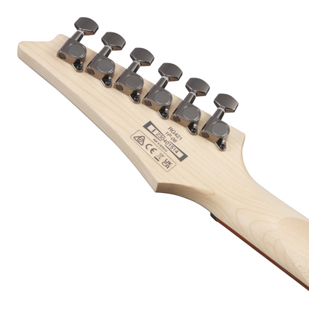 Ibanez RG Standard Series RG421 Electric Guitar, Mahogany Oil RG421MOL