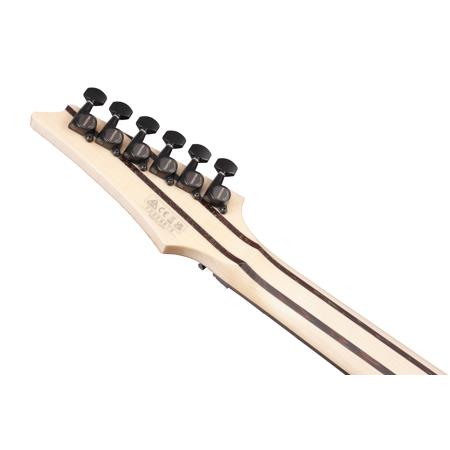 Ibanez RG j.custom Axe Desing Lab Series RG8870 Electric