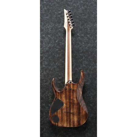 Ibanez Iron Label RGAIX6U 6-String Electric Guitar, Antique Brown Stained