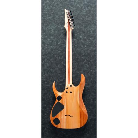 Ibanez RGD Iron Label RGDIX6PB Electric Guitar, Surreal Black Burst