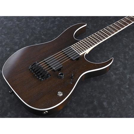 Ibanez RG Iron Label Series RGIR20BFE Electric Guitar, Walnut Flat
