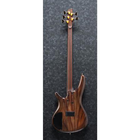 Ibanez SR Premium SR1405E 5 String Electric Bass Guitar, Gracial White