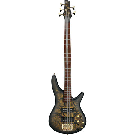 Ibanez SR Standard SR305EDX 5-String Electric Bass Guitar, Frozen Gold Matte