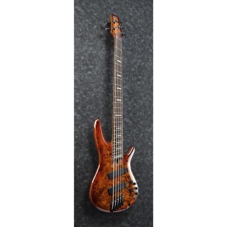 Ibanez SRMS805 Multi Scale 2018 5-String Bass Guitar, Brown