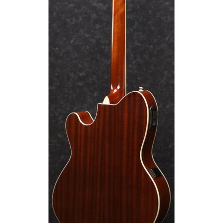 Ibanez TCM50 Acoustic Electric Guitar, Natural High Gloss TCM50NT