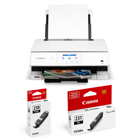 Canon PIXMA TS8820 Wireless All-In-One Duplex Color Inkjet Printer, Bundle with CLI-231 Black and PGI-230 Pigment Black Ink Tank
