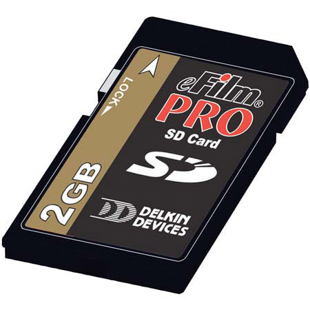 Delkin Devices 2 GB Secure Digital Pro (SD) Memory Card (150x)