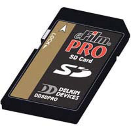 Delkin Devices 32GB Secure Digital Pro Memory Card, Class 4