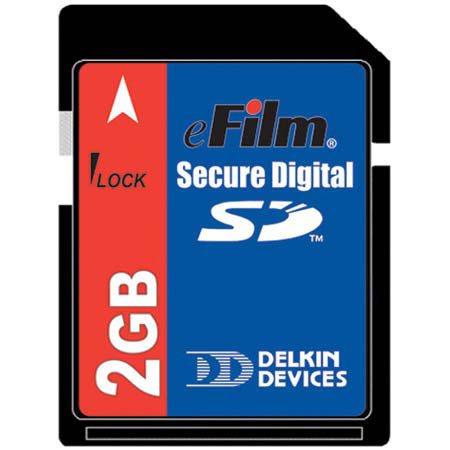 Delkin Devices 2 GB SD, Secure Digital, Standard 55x Memory Card #DDSDXTRA2GB