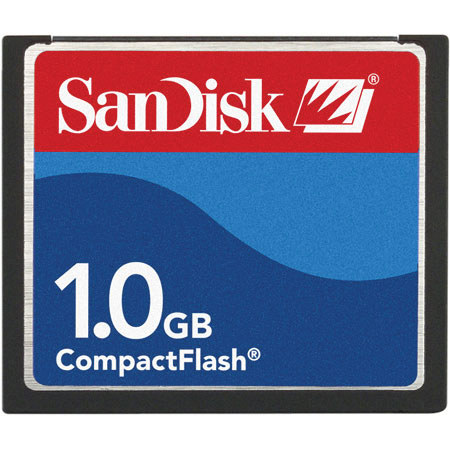 SanDisk 1 GB Compact Flash Memory Card.