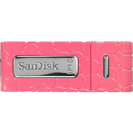 SanDisk 2 GB Cruzer Gator USB 2.0 Flash Drive, Pnk Fnsh