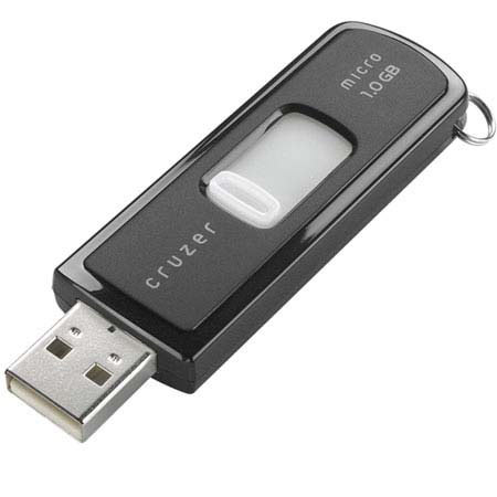 SanDisk 1 GB Cruzer Micro Skin with U3 Technology, USB Flash Drive (UFD) Storage Device