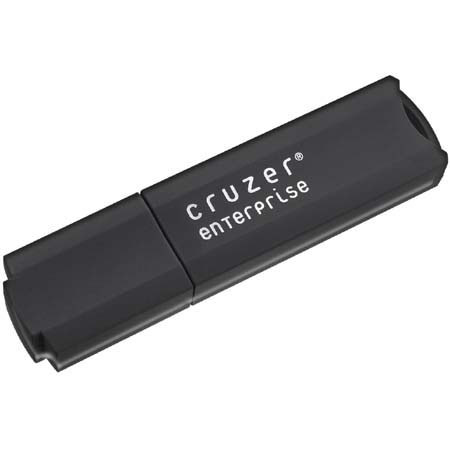SanDisk Cruzer Secure Enterprise 1 GB Flash Drive with USB 2.0 Interface
