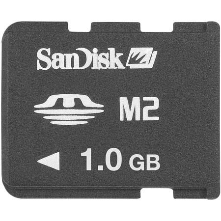 SanDisk 1 GB Memory Stick Micro (M2) Memory Card.