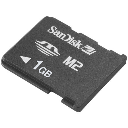 SanDisk 2 GB Memory Stick Micro (M2) Memory Card.