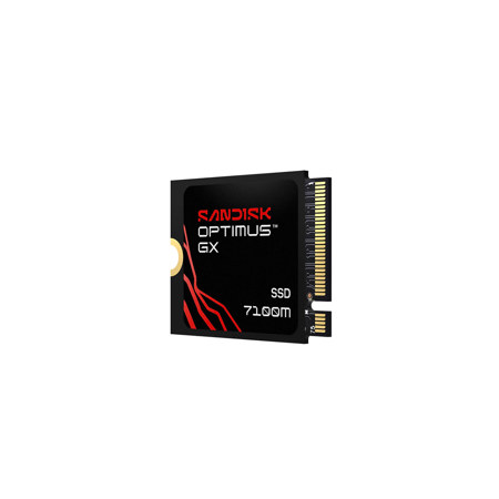 SanDisk Optimus GX 7100M NVMe PCIe 4.0x4 M.2 2230 Internal SSD