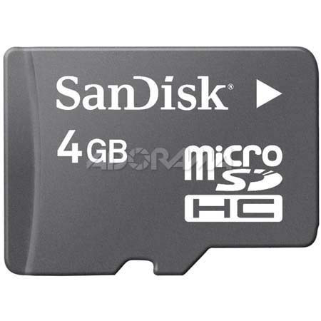 SanDisk 4GB microSDHC Card with SD Adapter