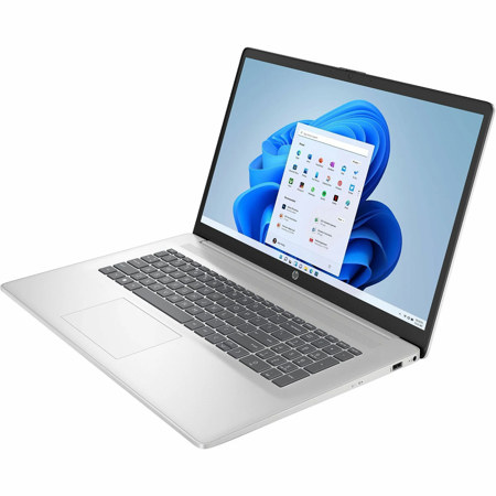 HP 17-cn3019nr 17.3