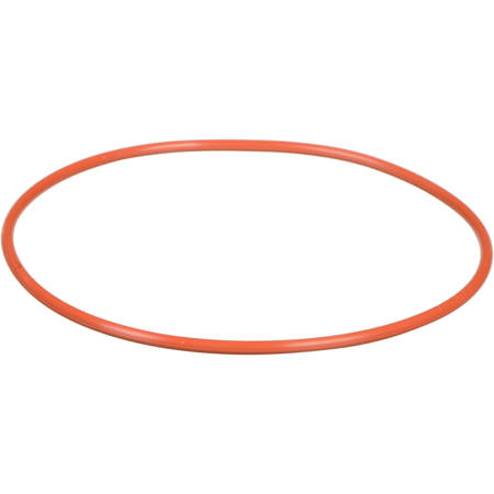 Ikelite 109 O-Ring for Video Housings DC572