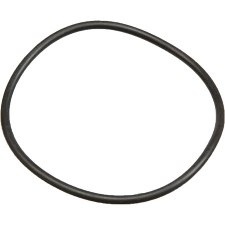 Ikelite Replacement "O" Ring for Battery Door of Substrobe DS-125/DS-160