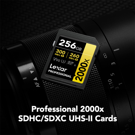Lexar　LSD2000256G-BNNNJ [256GB] Lexar 256GB Professional SD Memory Card - High Speed Video