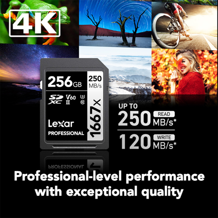 Lexar SILVER Series Professional 1667x 256GB UHS-II SDXC
