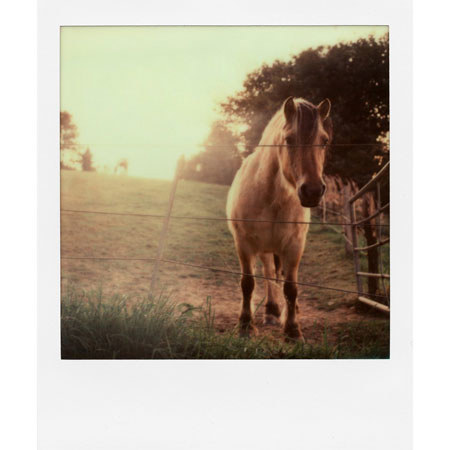 Impossible PX 70 Color Protection