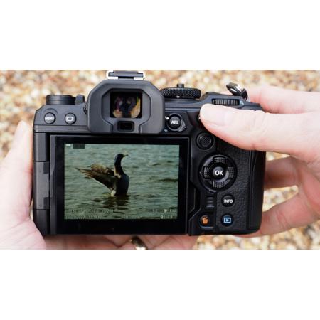 OM SYSTEM OM-1 Mirrorless Camera V210010BU000 - Adorama OM SYSTEM OM-1 Mirrorless Camera V210010BU000 - Adorama