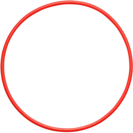 Olympus POL-U1 O-Ring for the UFL-1 Underwater Flash