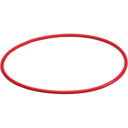 Olympus Front O-Ring A for PT Underwater Case