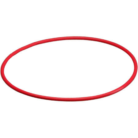 Olympus Silicone O-Ring for PT-018 Underwater Housing