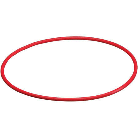 Olympus POL-024 O-Ring for PT-024 Underwater Housing