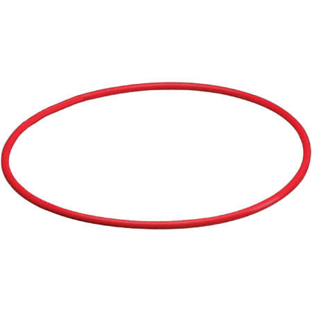 Olympus POL-032 Replacement O-Ring for PT-032