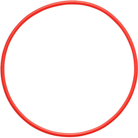 Olympus POL-058 Replacement O-Ring for PT-058 Underwater Housing