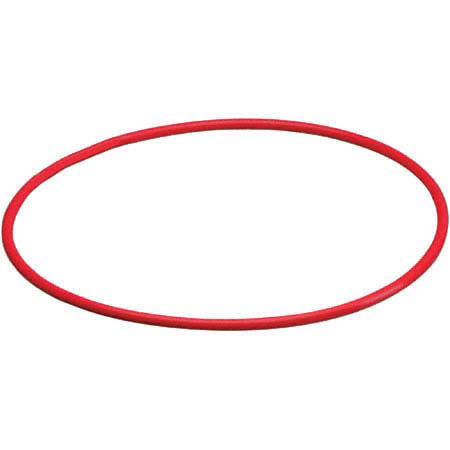 Olympus POL-E03B O-Ring for PT-03 Underwater Housing